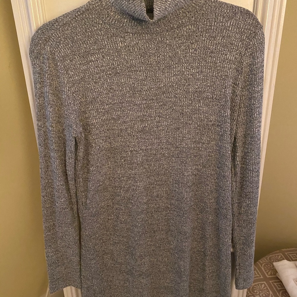 Lou & Gray Turtleneck Sweater Dress